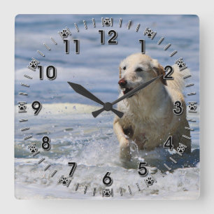 Labradoodle - Izzy Quadratische Wanduhr