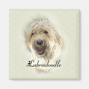 Labradoodle Liebhaber Geschenke Magnet