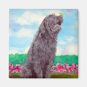 Labradoodle mit Butterfly Magnet