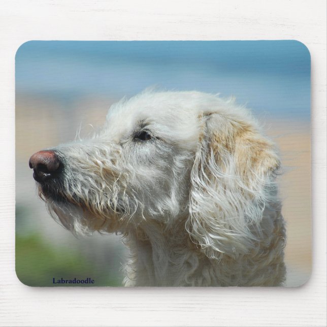 Labradoodle Mousepad (Vorne)