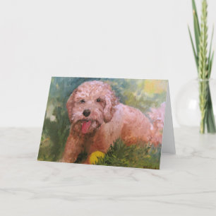Labradoodle or Goldendoodle Card for any ocassion Karte