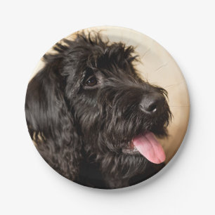 Labradoodle Paper Teller, 7 Zoll Pappteller