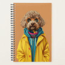 Labradoodle