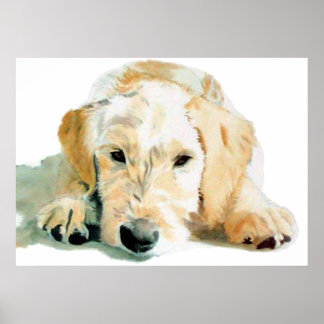 Labradoodle Pup Print Poster