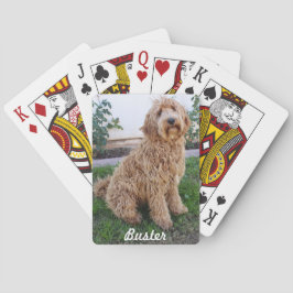 Labradoodle Puppy Dog Spielkarten
