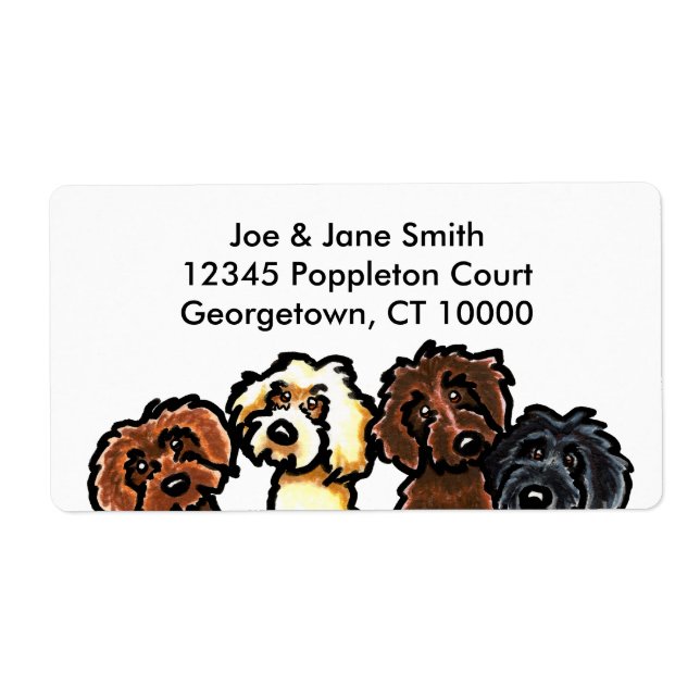 Labradoodle Rainbow (Vorne)