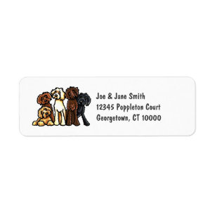 Labradoodle Regenbogen