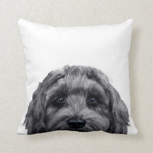 Labradoodle Schwarz Original Malerei von miart Kissen