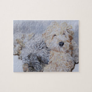 Labradoodle und Goldendoodle