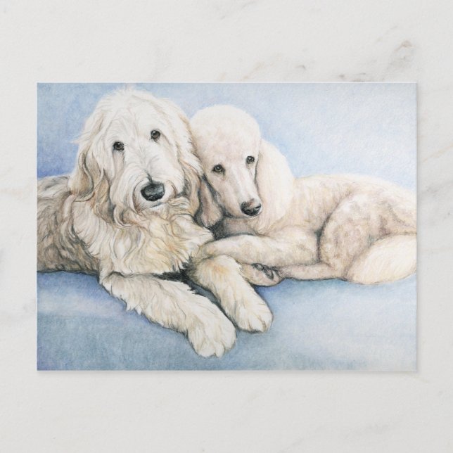 Labradoodle und Standard Poodle Dog Art Postkarte (Vorderseite)