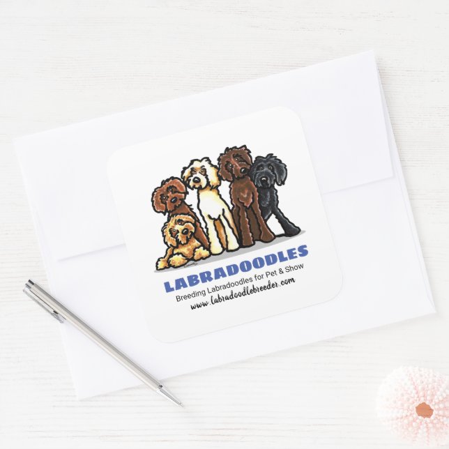 Labradoodle Züchter Custom Marketing Quadratischer Aufkleber (Umschlag)