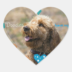Labradoodles haben meinen ❤ Aufkleber
