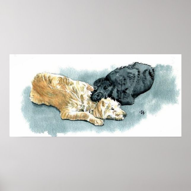 Labradoodles in der Liebe Leinwand Poster (Vorne)
