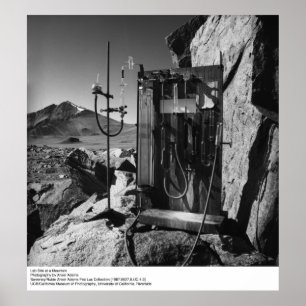 Labrador am Berg von Ansel Adams Poster
