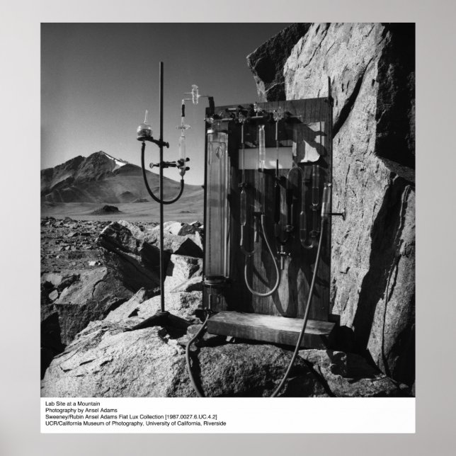 Labrador am Berg von Ansel Adams Poster (Vorne)