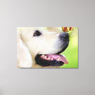 Labrador And Butterfly Throw Pillow Leinwanddruck