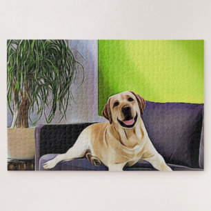 Labrador auf dem Sofa