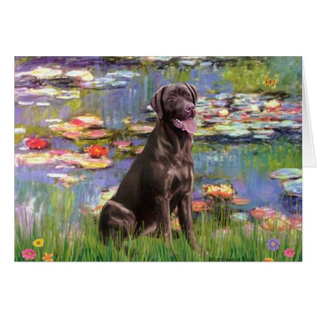 Labrador (Chcolate) - Lys 2 (Devant horizontal)