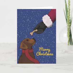 Labrador Chocolate Retriever Dog Weihnachten