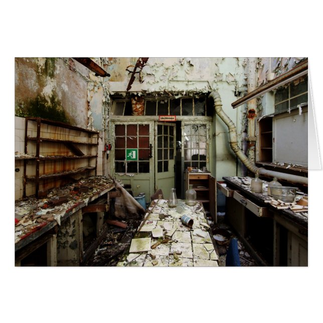 Labrador Decay (Vorderseite (Horizontal))