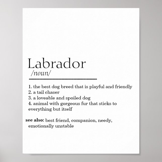 Labrador Definition  Poster (Vorne)