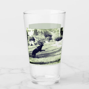 Labrador, der ein frisches Bier-Glas fängt Glas