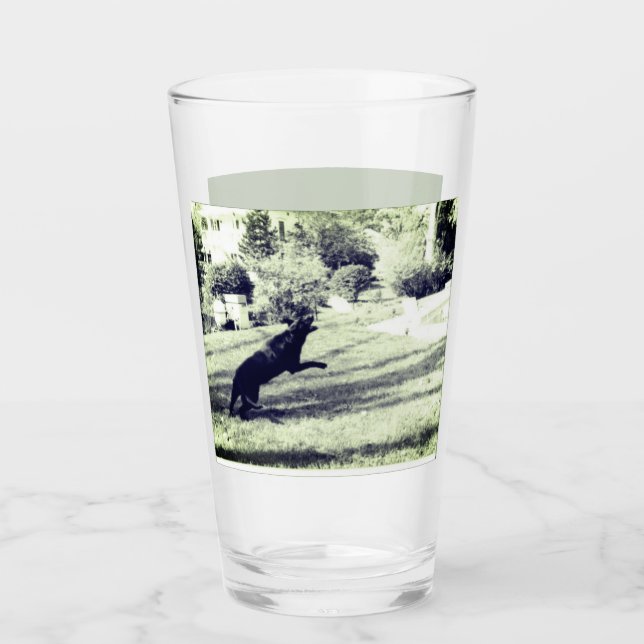 Labrador, der ein frisches Bier-Glas fängt Glas (Vorderseite)