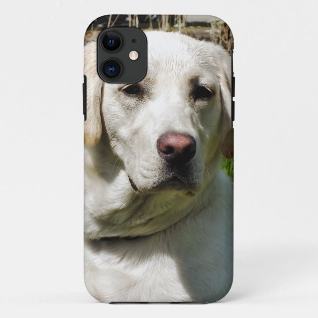 LABRADOR DOG Case-Mate iPhone HÜLLE (Rückseite)