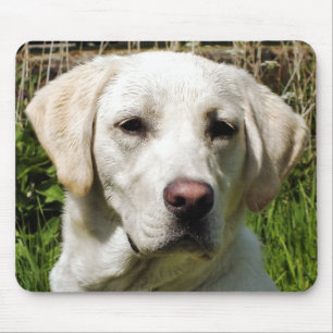 LABRADOR DOG MOUSEPAD