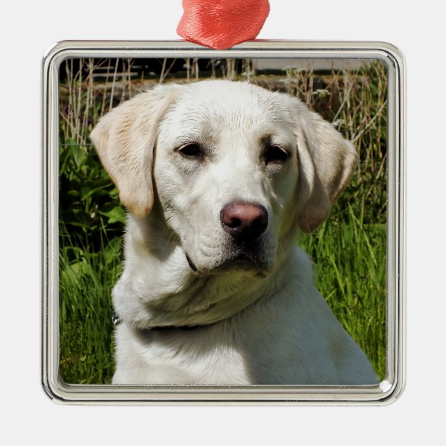 LABRADOR DOG ORNAMENT AUS METALL (Vorne)