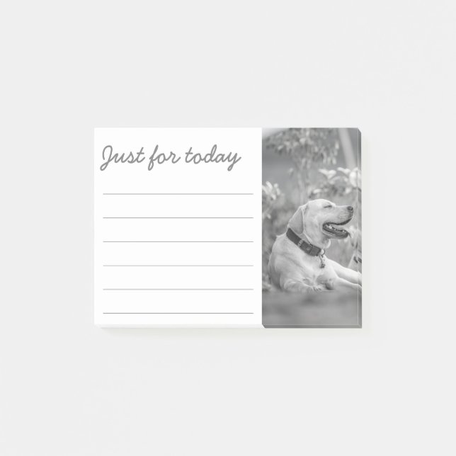 LABRADOR DOG RELAXING POST-IT NOTES (Devant)