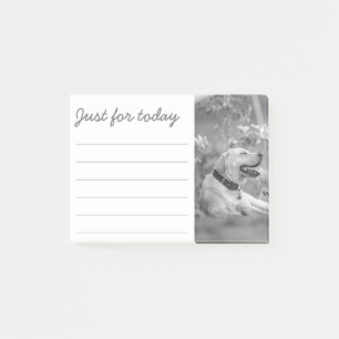 LABRADOR DOG RELAXING POST-IT NOTES POST-IT KLEBEZETTEL