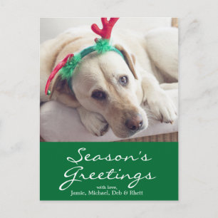 Labrador dog with Christmas ears Feiertagspostkarte