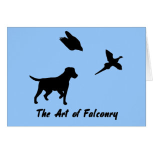 Labrador et Falconry