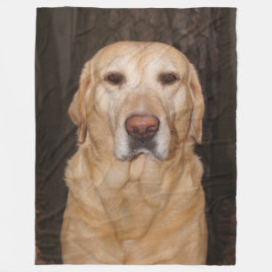 Labrador-Fleece-Decke Fleecedecke
