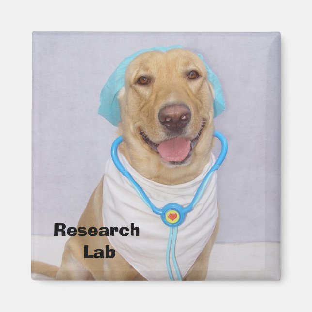 Labrador Forschung Magnet (Vorne)