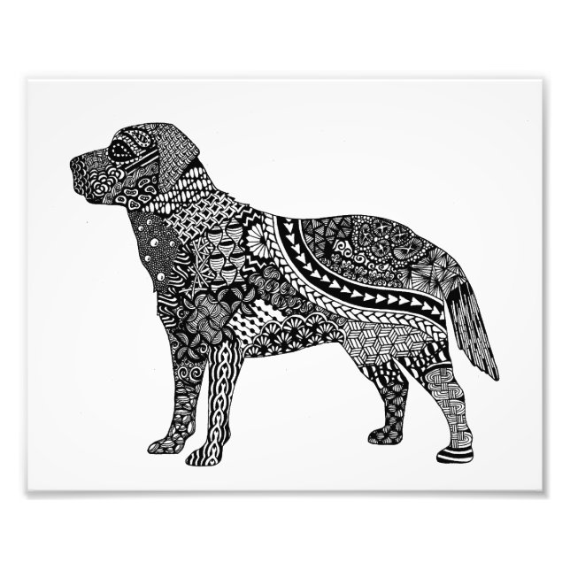 Labrador Fotodruck (Vorne)