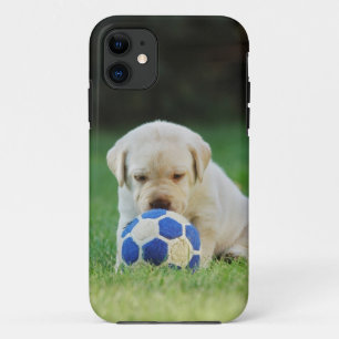 Labrador-Fußballspieler title_seo2