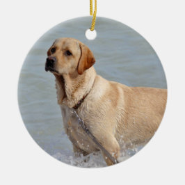 Labrador Gelber Hund Wasser Foto Keramik Ornament
