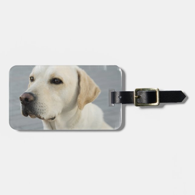 Labrador-Gepäck-Umbau Gepäckanhänger (Vorderseite horizontal)