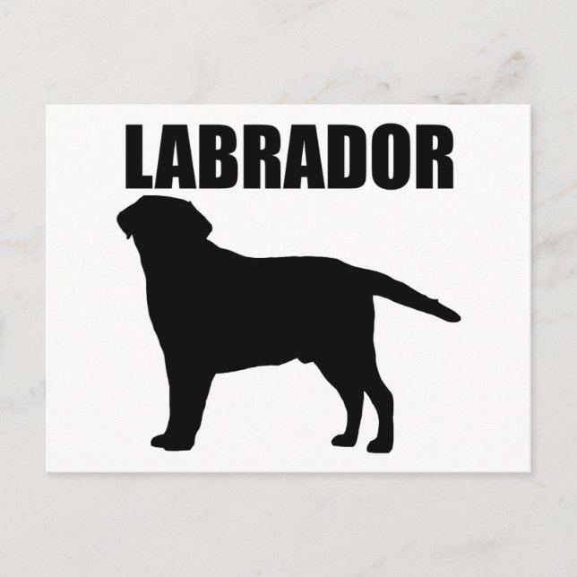 Labrador Geschenke! Postkarte (Vorderseite)