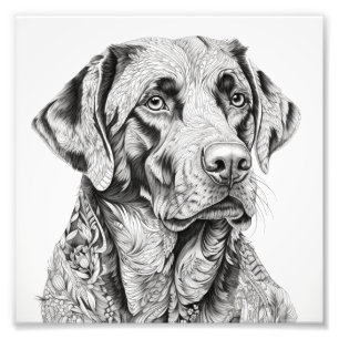 Labrador Geschenkkarte Fotodruck