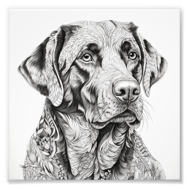 Labrador Geschenkkarte Fotodruck (Vorne)