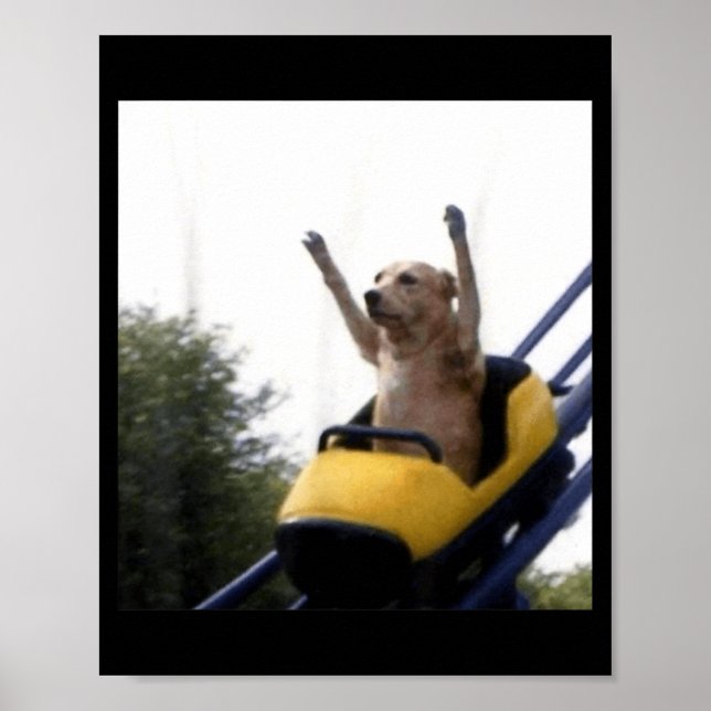 Labrador-Hund Achterbahn Lustiges Meme Poster (Vorne)