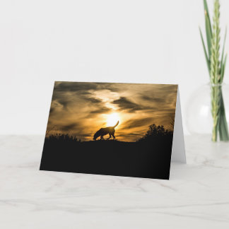 Labrador-Hund an der Sonnenuntergang-Gruß-Karte Karte