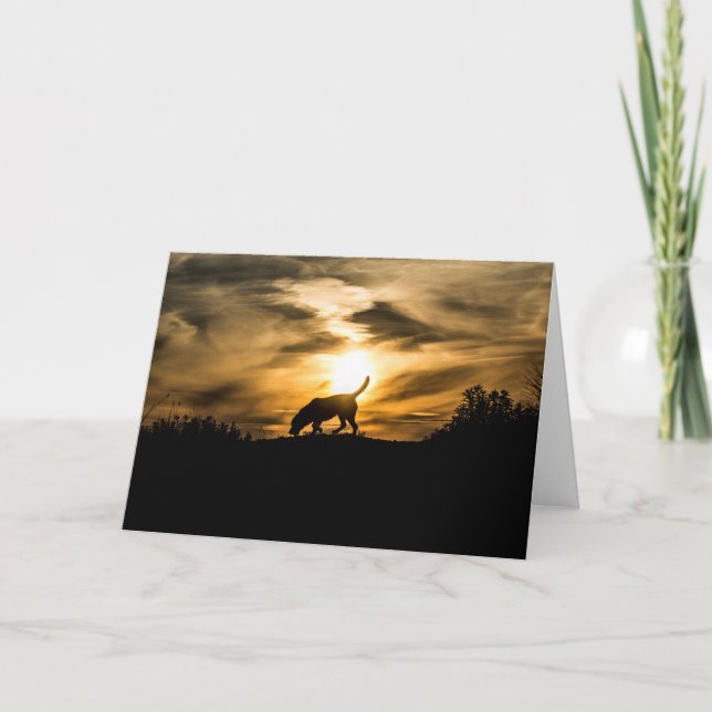 Labrador-Hund an der Sonnenuntergang-Gruß-Karte Karte (Vorderseite)