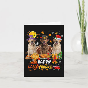 Labrador Hund Happy Halloween Erntedank Merry Ch Karte