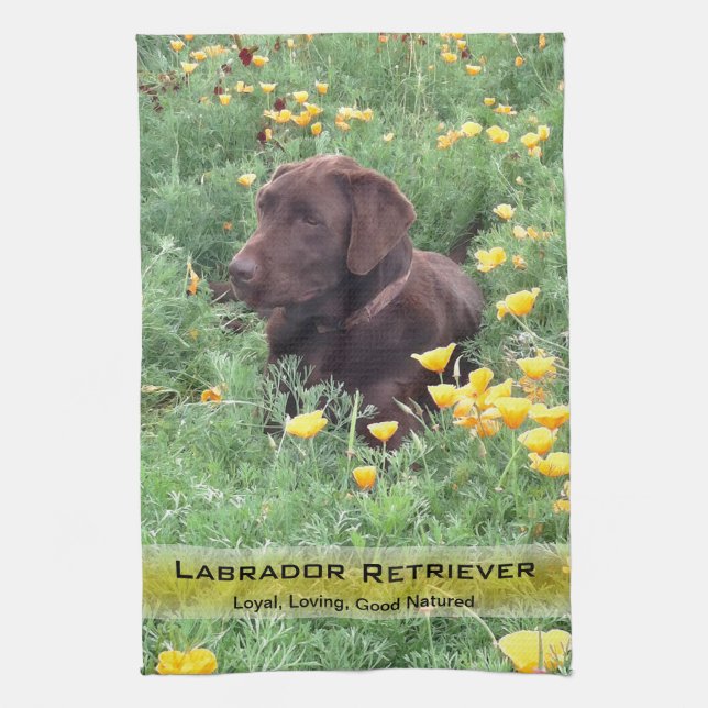 Labrador-Hund in der Handtuch (Vertikal)