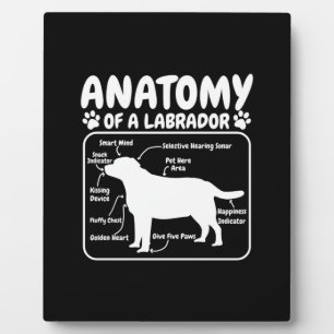 Labrador Hundanatomie Fotoplatte