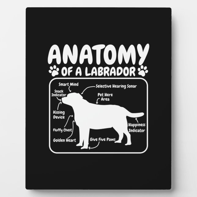 Labrador Hundanatomie Fotoplatte (Vorderseite)